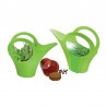 Reklaminis augalas "Green Oasis"