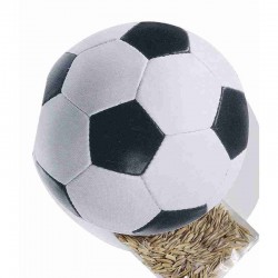 Reklaminė sėklų atvirutė "Football"