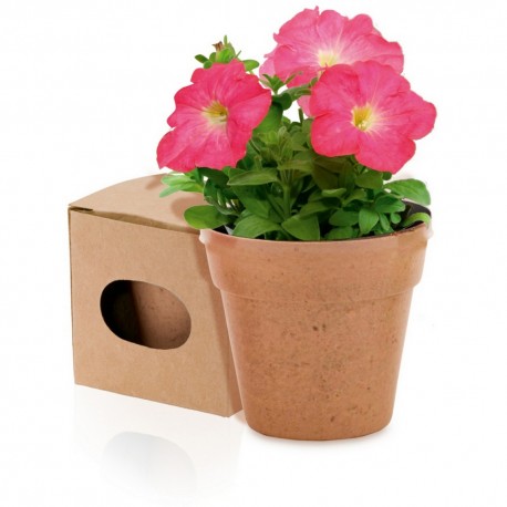 Reklaminis augalas vazonėlyje "Petunia"
