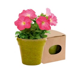 Reklaminis augalas vazonėlyje "Petunia"