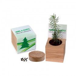 Reklaminis augalas medinuke "Nature Cube Spruce"