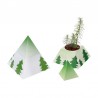 Verslo dovana "Christmas Pyramid"