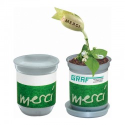 Reklaminis augalas skardinėje "XL Growing Tin MERCI"