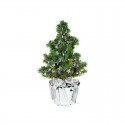 Verslo dovana "Silver Star Christmas Tree"
