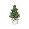 Verslo dovana "Silver Star Christmas Tree"